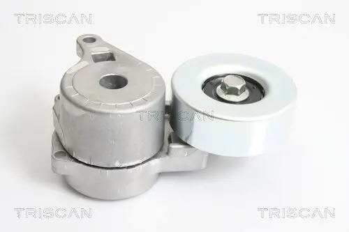Riemenspanner, Keilrippenriemen TRISCAN 8641 423001