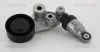 Riemenspanner, Keilrippenriemen TRISCAN 8641 443001