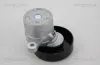 Riemenspanner, Keilrippenriemen TRISCAN 8641 693002