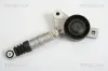 Riemenspanner, Keilrippenriemen TRISCAN 8641 803002