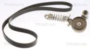 Keilrippenriemensatz TRISCAN 8642 10024