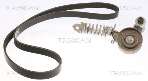 Keilrippenriemensatz TRISCAN 8642 10024 Bild Keilrippenriemensatz TRISCAN 8642 10024