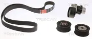 Keilrippenriemensatz TRISCAN 8642 10031