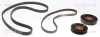 Keilrippenriemensatz TRISCAN 8642 10033 Bild Keilrippenriemensatz TRISCAN 8642 10033