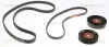 Keilrippenriemensatz TRISCAN 8642 10033 Bild Keilrippenriemensatz TRISCAN 8642 10033