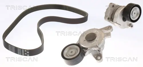 Keilrippenriemensatz TRISCAN 8642 10038