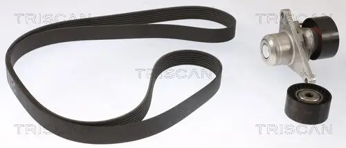 Keilrippenriemensatz TRISCAN 8642 10046 Bild Keilrippenriemensatz TRISCAN 8642 10046