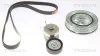 Keilrippenriemensatz TRISCAN 8642 10047 Bild Keilrippenriemensatz TRISCAN 8642 10047