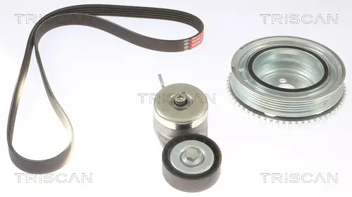 Keilrippenriemensatz TRISCAN 8642 10047 Bild Keilrippenriemensatz TRISCAN 8642 10047