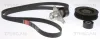Keilrippenriemensatz TRISCAN 8642 10049 Bild Keilrippenriemensatz TRISCAN 8642 10049