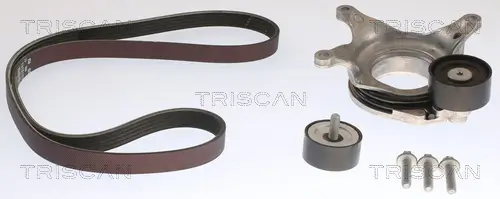 Keilrippenriemensatz TRISCAN 8642 10051 Bild Keilrippenriemensatz TRISCAN 8642 10051
