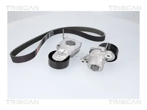 Keilrippenriemensatz TRISCAN 8642 10053 Bild Keilrippenriemensatz TRISCAN 8642 10053