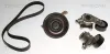 Keilrippenriemensatz TRISCAN 8642 10056 Bild Keilrippenriemensatz TRISCAN 8642 10056