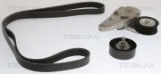 Keilrippenriemensatz TRISCAN 8642 10059