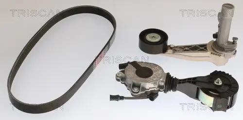 Keilrippenriemensatz TRISCAN 8642 10061