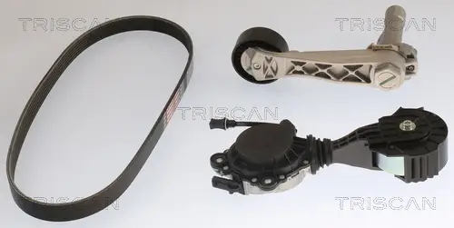 Keilrippenriemensatz TRISCAN 8642 10061 Bild Keilrippenriemensatz TRISCAN 8642 10061
