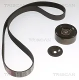 Keilrippenriemensatz TRISCAN 8642 10063