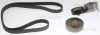 Keilrippenriemensatz TRISCAN 8642 10066 Bild Keilrippenriemensatz TRISCAN 8642 10066