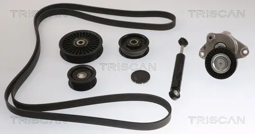 Keilrippenriemensatz TRISCAN 8642 10073