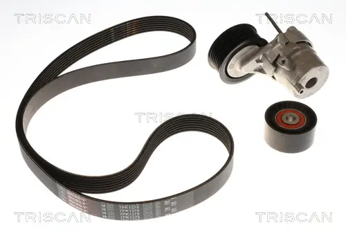 Keilrippenriemensatz TRISCAN 8642 10076 Bild Keilrippenriemensatz TRISCAN 8642 10076