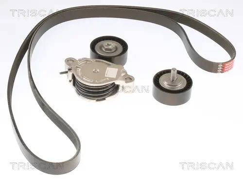 Keilrippenriemensatz TRISCAN 8642 11004