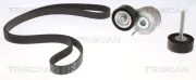 Keilrippenriemensatz TRISCAN 8642 15002