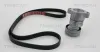 Keilrippenriemensatz TRISCAN 8642 24004 Bild Keilrippenriemensatz TRISCAN 8642 24004