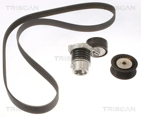 Keilrippenriemensatz TRISCAN 8642 25012 Bild Keilrippenriemensatz TRISCAN 8642 25012