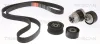 Keilrippenriemensatz TRISCAN 8642 25016 Bild Keilrippenriemensatz TRISCAN 8642 25016