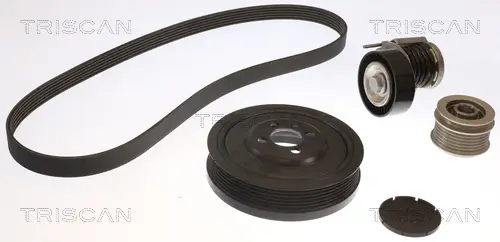 Keilrippenriemensatz TRISCAN 8642 29029 Bild Keilrippenriemensatz TRISCAN 8642 29029