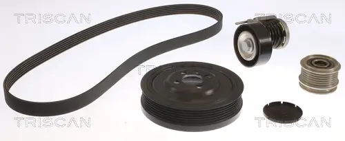 Keilrippenriemensatz TRISCAN 8642 29029 Bild Keilrippenriemensatz TRISCAN 8642 29029