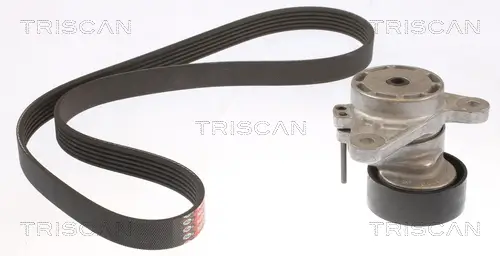 Keilrippenriemensatz TRISCAN 8642 29036 Bild Keilrippenriemensatz TRISCAN 8642 29036
