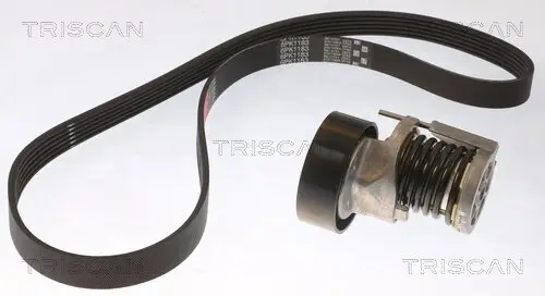 Keilrippenriemensatz TRISCAN 8642 29044 Bild Keilrippenriemensatz TRISCAN 8642 29044