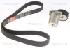 Keilrippenriemensatz TRISCAN 8642 29045 Bild Keilrippenriemensatz TRISCAN 8642 29045