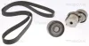 Keilrippenriemensatz TRISCAN 8642 29051 Bild Keilrippenriemensatz TRISCAN 8642 29051