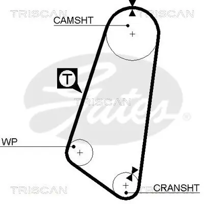 Zahnriemen TRISCAN 8645 5030 Bild Zahnriemen TRISCAN 8645 5030