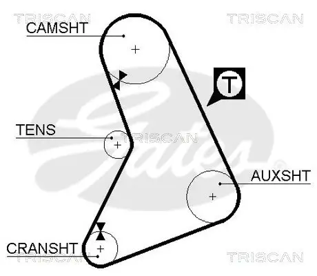 Zahnriemen TRISCAN 8645 5069 Bild Zahnriemen TRISCAN 8645 5069