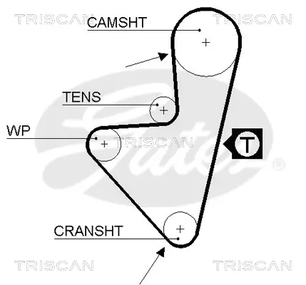 Zahnriemen TRISCAN 8645 5175XS Bild Zahnriemen TRISCAN 8645 5175XS