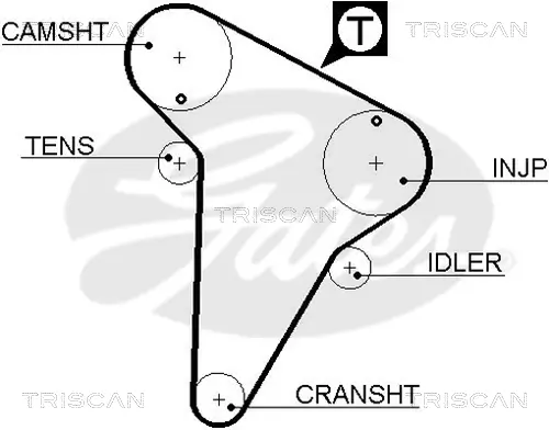 Zahnriemen TRISCAN 8645 5420XS Bild Zahnriemen TRISCAN 8645 5420XS