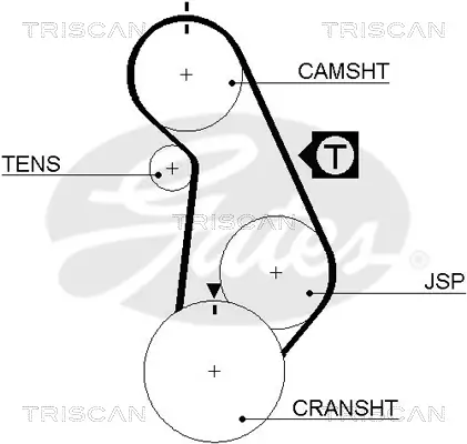 Zahnriemen TRISCAN 8645 5424XS Bild Zahnriemen TRISCAN 8645 5424XS