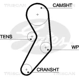 Zahnriemen TRISCAN 8645 5503XS