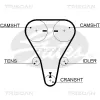 Zahnriemen TRISCAN 8645 5512XS Bild Zahnriemen TRISCAN 8645 5512XS
