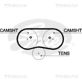 Zahnriemen TRISCAN 8645 5516XS