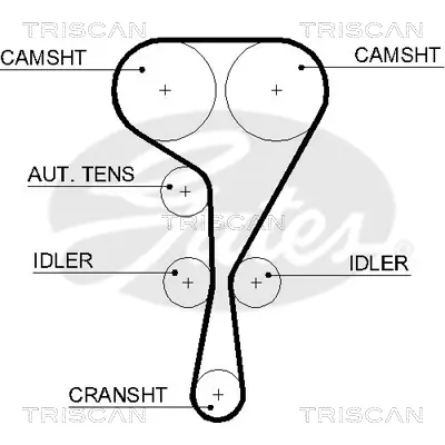 Zahnriemen TRISCAN 8645 5550XS Bild Zahnriemen TRISCAN 8645 5550XS