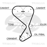 Zahnriemen TRISCAN 8645 5556XS