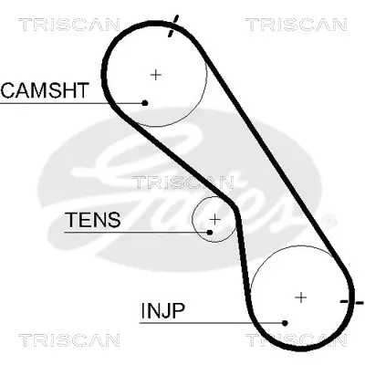 Zahnriemen TRISCAN 8645 5560XS Bild Zahnriemen TRISCAN 8645 5560XS