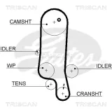 Zahnriemen TRISCAN 8645 5565XS
