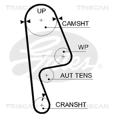 Zahnriemen TRISCAN 8645 5593XS Bild Zahnriemen TRISCAN 8645 5593XS