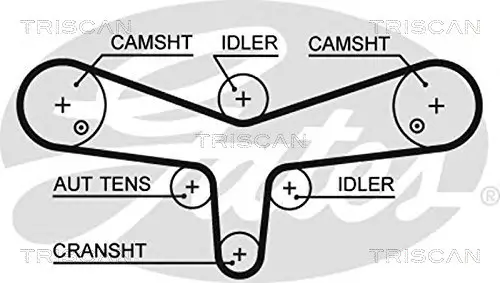 Zahnriemen TRISCAN 8645 5624XS Bild Zahnriemen TRISCAN 8645 5624XS