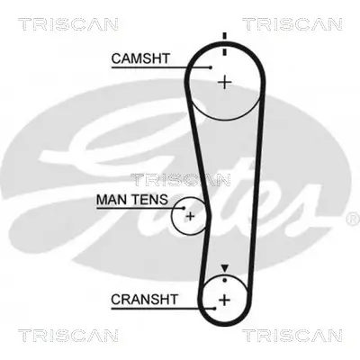 Zahnriemen TRISCAN 8645 5637XS Bild Zahnriemen TRISCAN 8645 5637XS